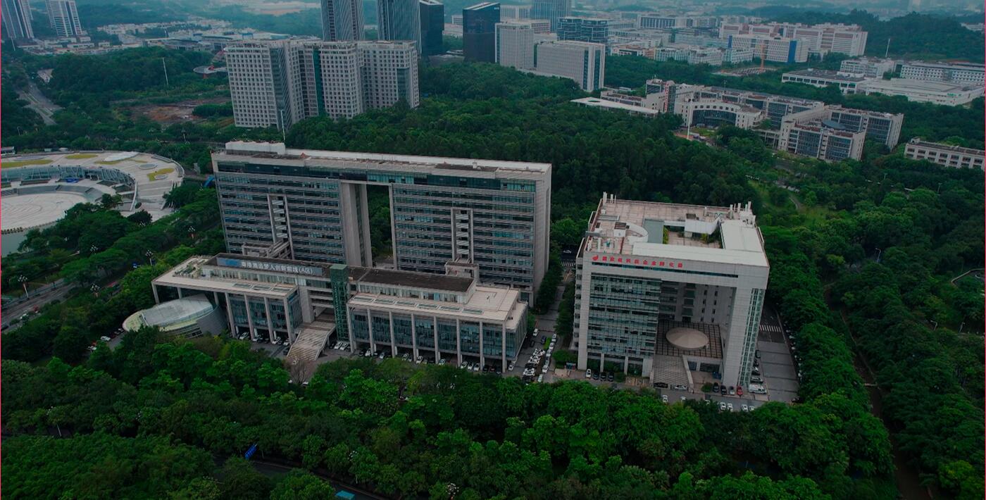 公司愿景