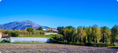 农村与偏远乡镇